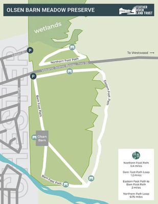 map design